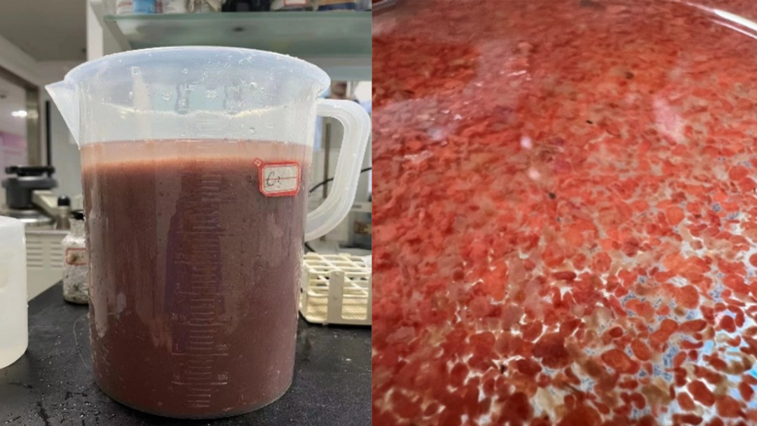 2121·Ç·²¡¤(ÖйúÓÎ)ÌåÓý¹Ù·½ÍøÕ¾