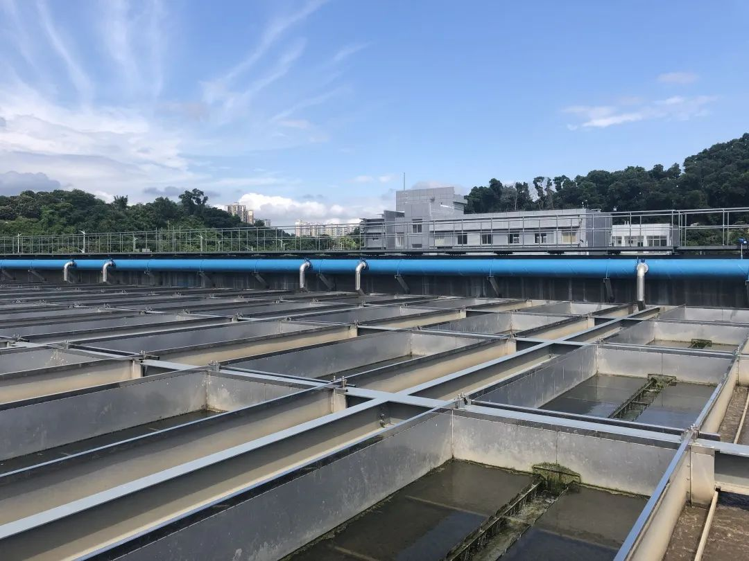 2121·Ç·²¡¤(ÖйúÓÎ)ÌåÓý¹Ù·½ÍøÕ¾