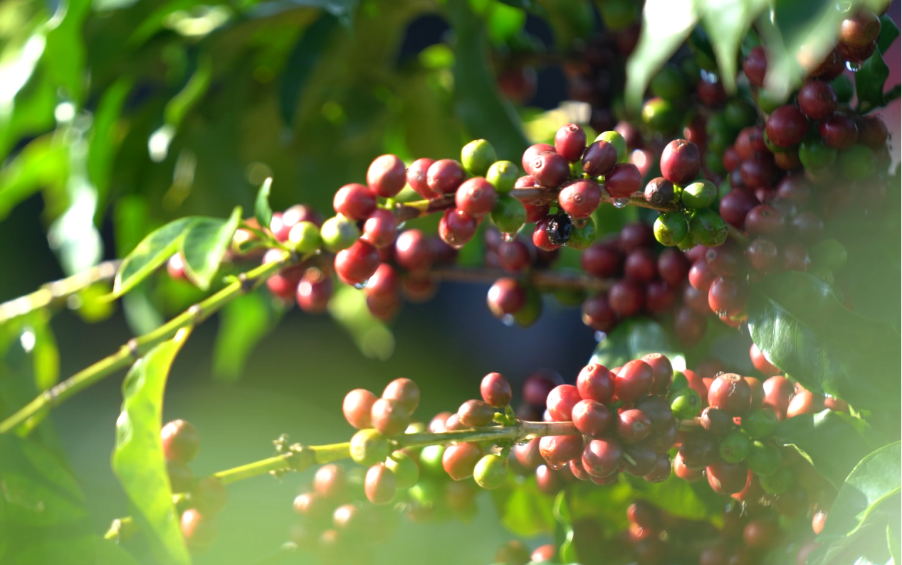 2121·Ç·²¡¤(ÖйúÓÎ)ÌåÓý¹Ù·½ÍøÕ¾