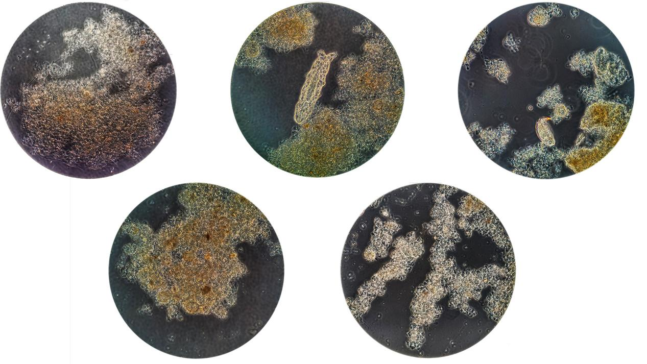 2121非凡·(中国游)体育官方网站
