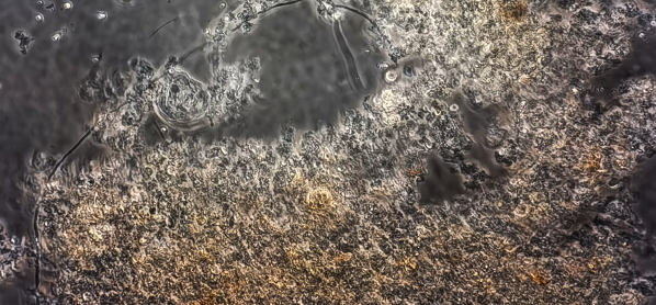 2121非凡·(中国游)体育官方网站