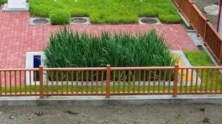 2121非凡·(中国游)体育官方网站