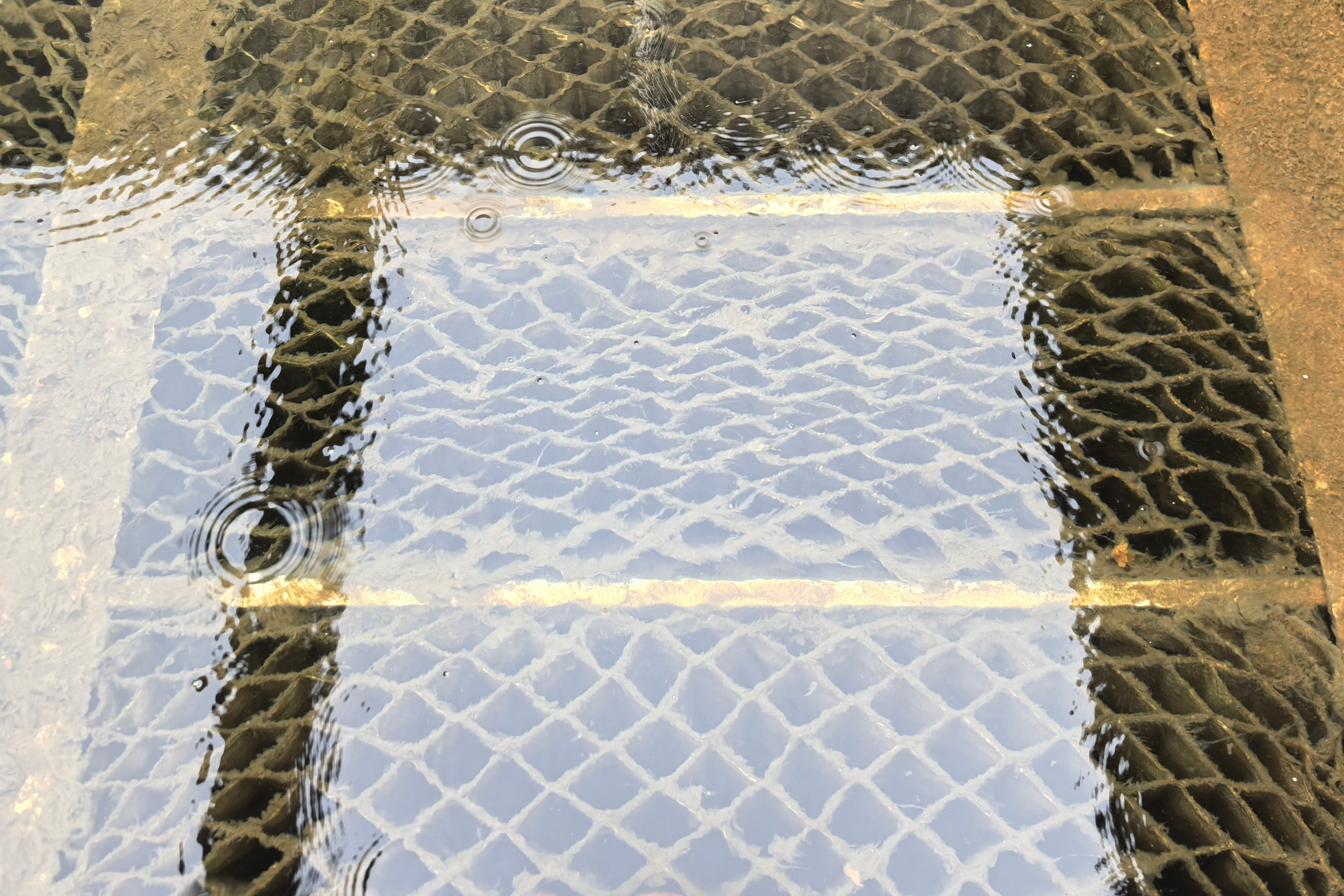 2121非凡·(中国游)体育官方网站